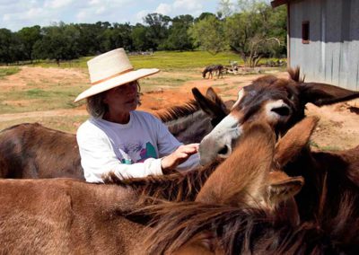 Dreamtime Animal Sanctuary Donkey Rescue